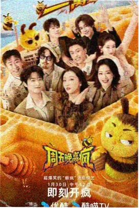 二哥影院观察类综艺 第二排观众海报
